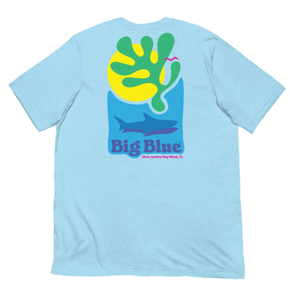 Big Blue Dive Centre, Florida