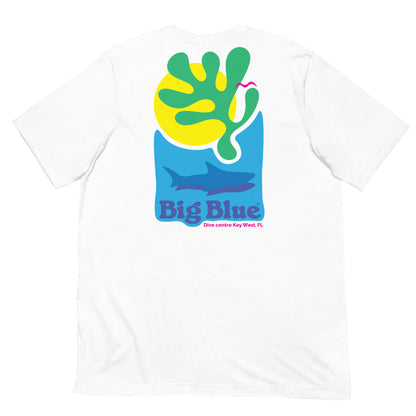 Big Blue Dive Centre, Florida